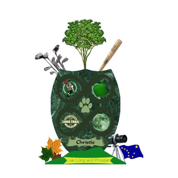 Picture-Taker-FHHWQ5